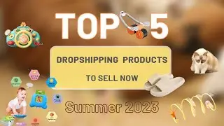 Top 5 Dropshipping Products to Sell Now！