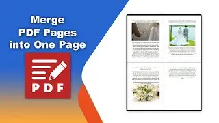 How to merge PDF pages into one page in PDF-XChange Editor