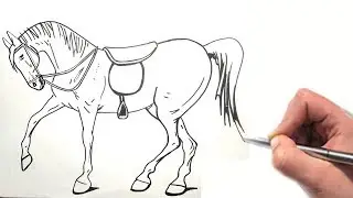 como desenhar um cavalo | Estilo vaquejada!! 🐎🐎