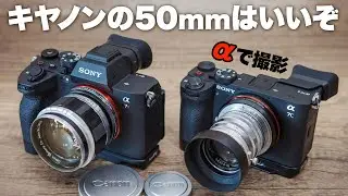 キヤノンの50mm単焦点レンズはいいぞ！撮り比べ「CANON 50mm F1.2」と「Serenar 50mm F1.8 I」