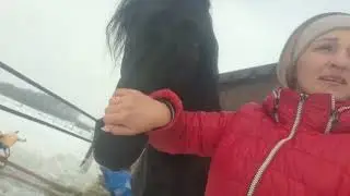 У нас пополнение!!!+2!