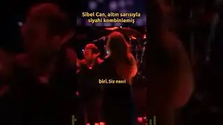 Sibel Can's dance was talked about as much as her costume.