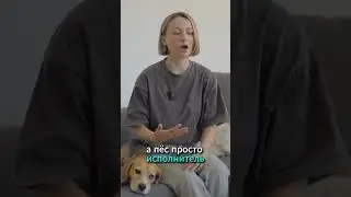 Дрессировка собак без подкрепления #shorts