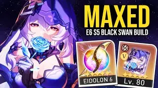 I Used a MAXED E6 BLACK SWAN in Honkai Star Rail