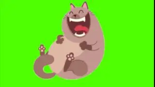 футаж   кот хохотун ))  без звука