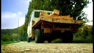 Насекомые Гусеница  Яблоко согласия