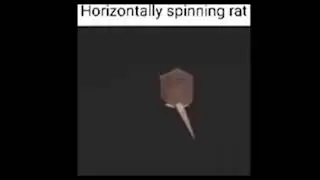 gang shit thats all im on