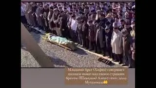 27 июня 2023 г.