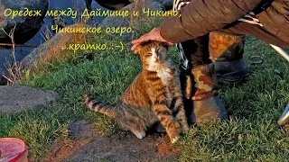 Река Оредеж между Даймище и Чикино, Чикинское озеро. Кратко:)