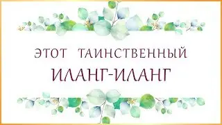 Самое Таинственное Эфирное Масло Иланг Иланг