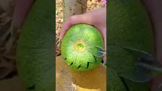 fruits 65