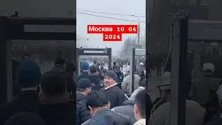 12 апреля 2024 г.
