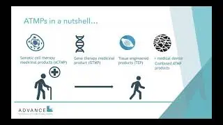 ADVANCE Webinar - Regulatory and Clinical Aspects of ATMPs Development