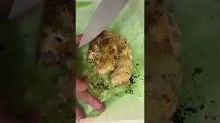 Rice paper low cal recipe try..and fail