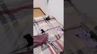 Pi jit Kesehatan