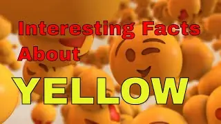 5 Interesting Facts About The Color Yellow