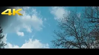 Sony A7S II - Démo 4K
