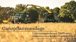 GPS Ganzpflanzensilage im Sonnenuntergang #farming #agriculture #landwirtschaft #fendt #johndeere