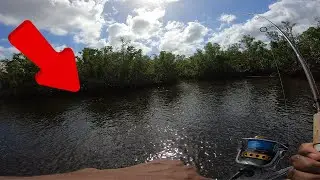 Snook Was Loaded in Here Fishing With White Bait