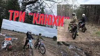 #Три KAYO заблудились в лесу