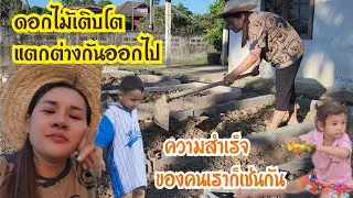 Ep.823 ดอกไม้เติบโตแตกต่างกันออกไป ความสำเร็จของคนเราก็เช่นกัน #แม่บ้านอีสาน