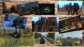 стрим Сталкер Онлайн ИСТОРИЧЕСКИЙ ДОПРОС!!