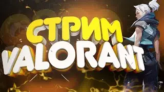 Стрим Валарант