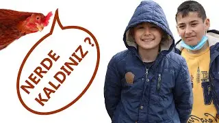 Okul dönüşü kümes açma... Çok özledik..