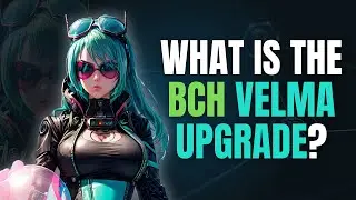 What is the BCH VELMA Upgrade? (VM Limits 2025)
