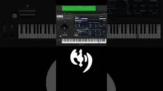 Korg WaveStation AU | Custom Patch RND | Fuzzy Lead
