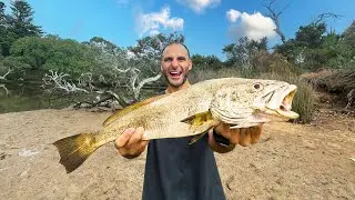 Island Fishing Challenge - Only Eating What I Catch