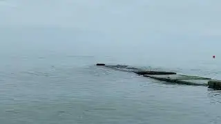 22.05.2023. Погода в Сочи в мае.Смотри на Чёрное море каждый день.