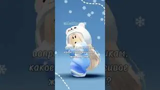 Тгк:  Кетика здесь 🐻‍❄️💙
