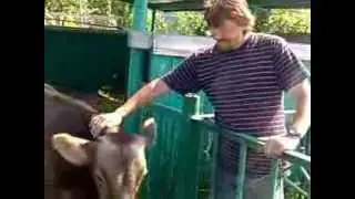 На подсобке