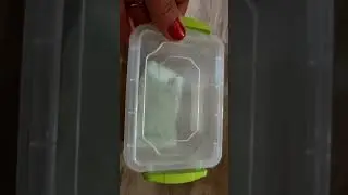 МАНГО ИЗ КОСТОЧКИ