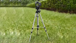 Amazon Basics Camera Mount Tripod Review - Best Budget Option?