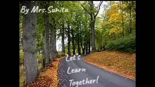 Road Idioms