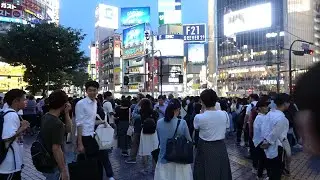 Tokyo city lights tour; Shibuya, Aoyama at night.