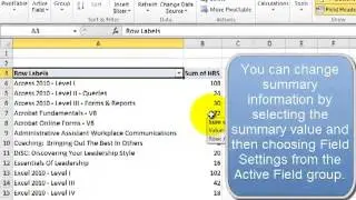 Using Slicers in Excel 2010 Pivot Tables