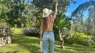 Life on a Hawaiian Permaculture Farm | Ancient Valley Growers