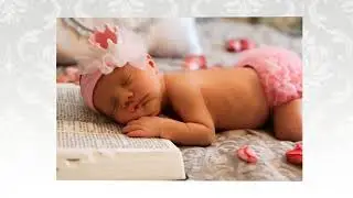Baby Lilly