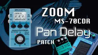 ⌛ PAN DELAY ⏳ Zoom MS-70CDR  Effect - You MUST have it!