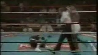 Mike Tyson Knockouts