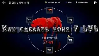 검은사막 모바일 - Black Desert Mobile Как сделать коня 7 Lvl + bonus