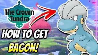HOW TO GET BAGON IN POKEMON SWORD AND SHIELD CROWN TUNDRA DLC EXPANSION