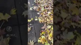 Как вести личную страничку, если я боюсь и стесняюсь? #онлайнбизнес #привычки  #путешествия #мысли