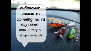 анбоксинг заказа из Spinningline.ru (обзор с колес #58)