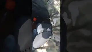 катаю пшеницу
