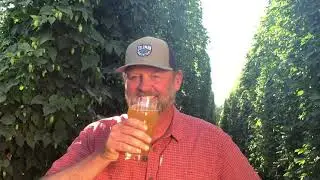 Our Favorite Beers Part 4: Notion's 15 by Great Notion Brewing and Block 15 Brewing
