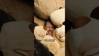 Opps never comfy, while I'm in a pile of teddy bears 😈